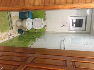 Лоджи Guest House U Myrona Яремче Трехместный номер с видом на горы-5