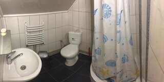 Лоджи Guest House U Myrona Яремче Полулюкс с балконом-4